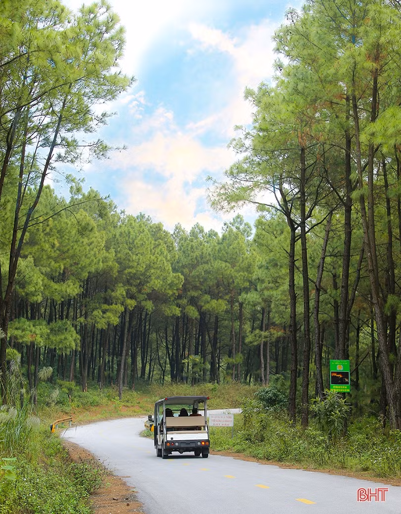 Vẻ đẹp cung đường dẫn tới Hoan Châu đệ nhất danh lam ở Hà Tĩnh