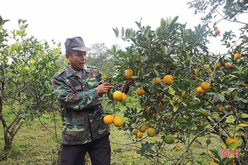 Mang sản phẩm chất lượng nhất đến với Lễ hội Cam và các sản phẩm nông nghiệp Hà Tĩnh