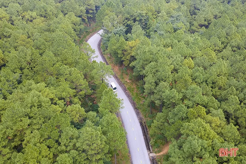 6 cung đường đẹp nhất Việt Nam để ngắm cảnh