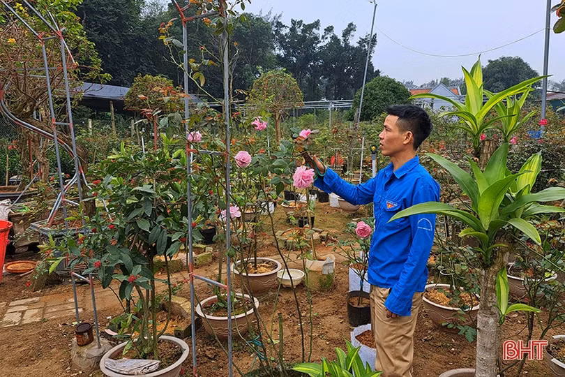 Nam thanh niên ở Nghi Xuân khởi nghiệp thành công từ trồng hoa, cây cảnh