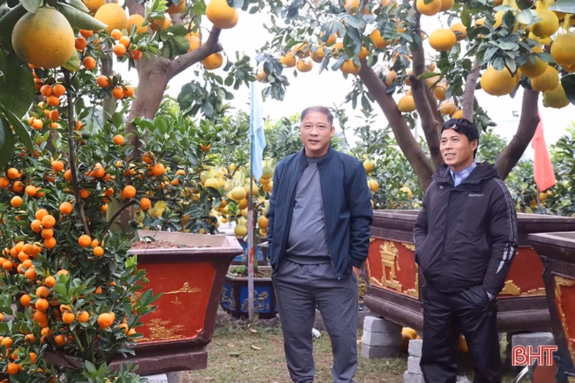 Thành phố Hà Tĩnh tập trung chỉnh trang đô thị, sẵn sàng đón tết Quý Mão