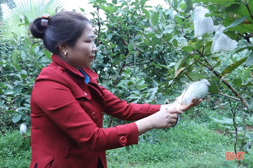 Nữ nhà giáo “hai giỏi” ở huyện miền núi Hà Tĩnh