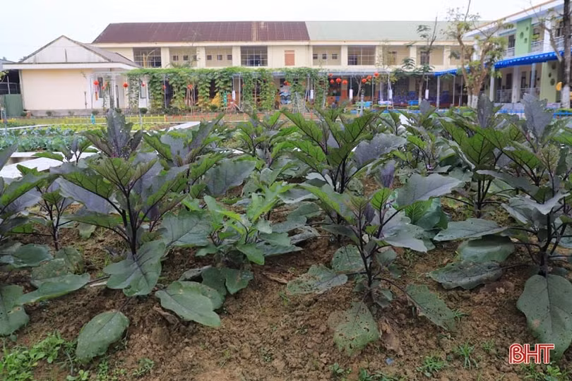 Ngôi trường rực rỡ sắc màu ở huyện miền núi Hà Tĩnh