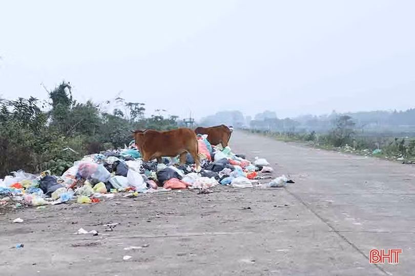 Rác thải chất đống trên tuyến đê hữu sông Lam ở Nghi Xuân