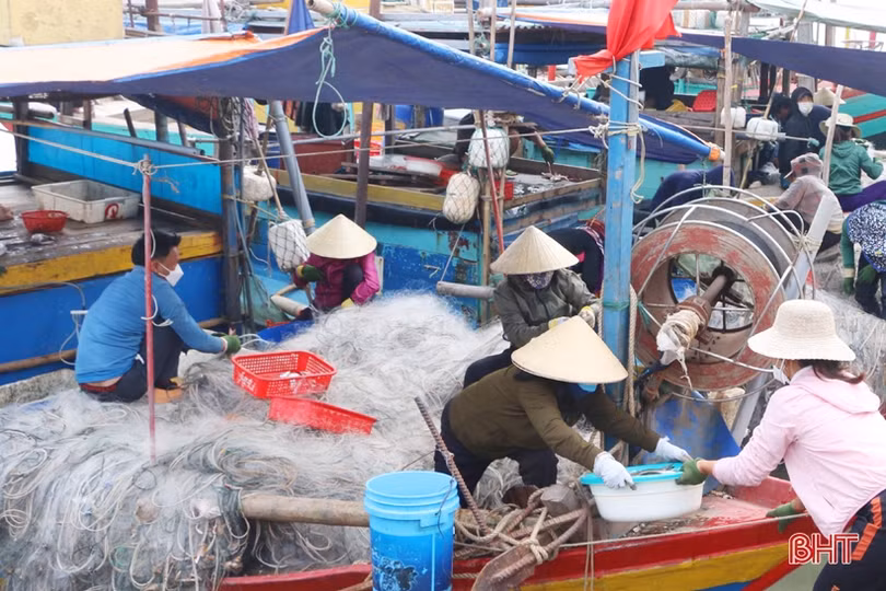 Hải sản Hà Tĩnh “đắt khách” những ngày cận tết