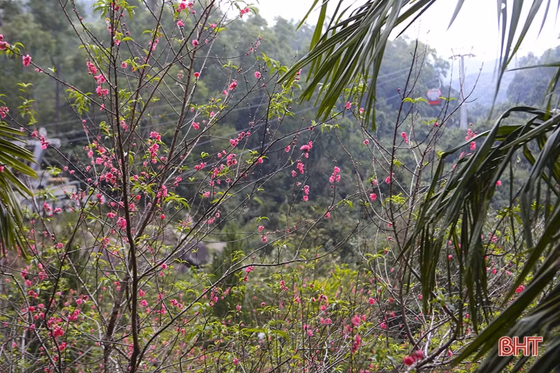 Chùa Hương Tích - Hà Tĩnh ngày càng hấp dẫn du khách