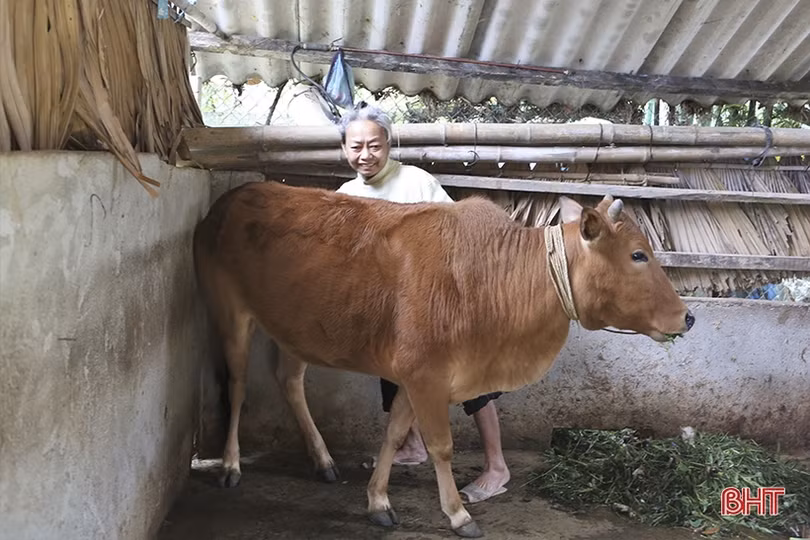 Không ngừng chăm lo đời sống cho hội viên phụ nữ khó khăn, trẻ em thiếu may mắn ở Hà Tĩnh