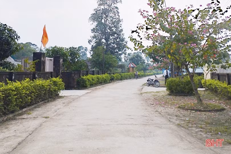 Nhiều hộ dân ở Thạch Hà hiến hàng trăm m<sup>2</sup> đất để mở rộng đường