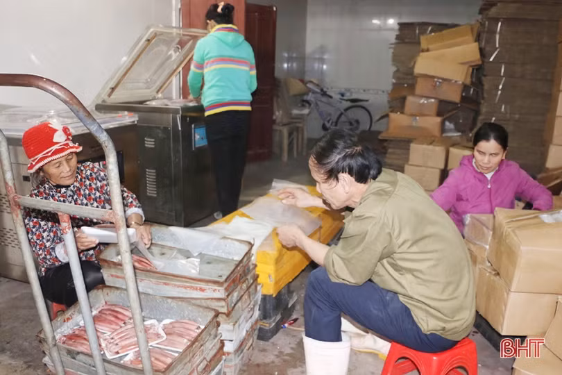 Hải sản Hà Tĩnh “đắt khách” những ngày cận tết