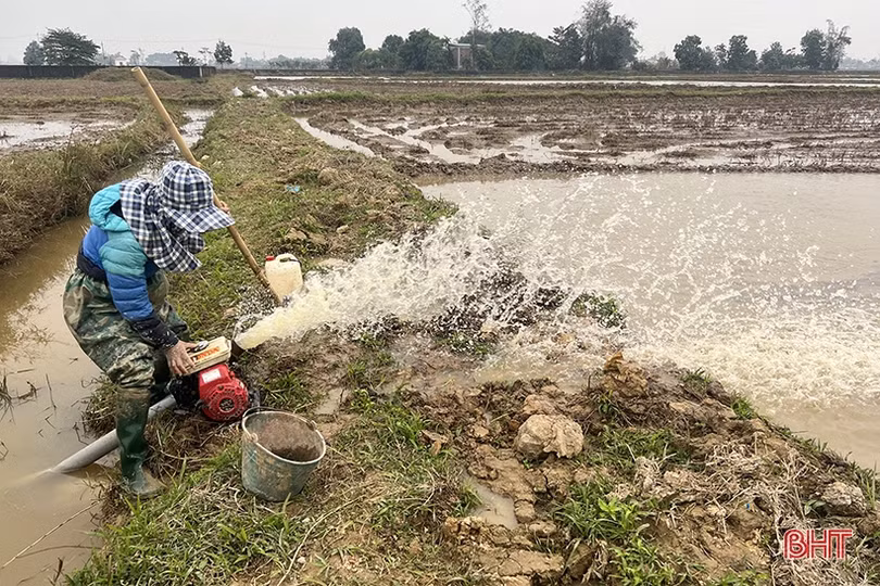 Các hồ chứa lớn ở Hà Tĩnh mở nước phục vụ gieo cấy lúa xuân
