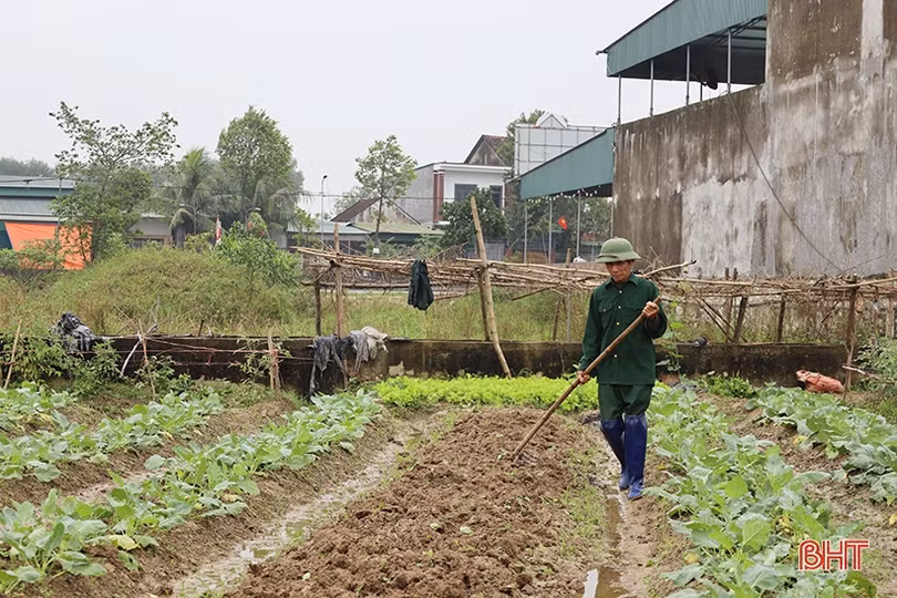 Hà Tĩnh: Giá rau xanh tăng mạnh, chưa thể “hạ nhiệt” trong nhiều ngày tới