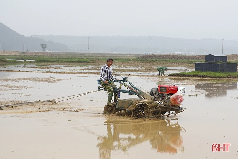 Tháng 12 rộn ràng về đích...