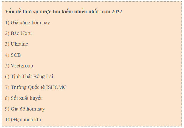 Người dùng Việt Nam tìm kiếm gì trên Internet trong năm 2022?