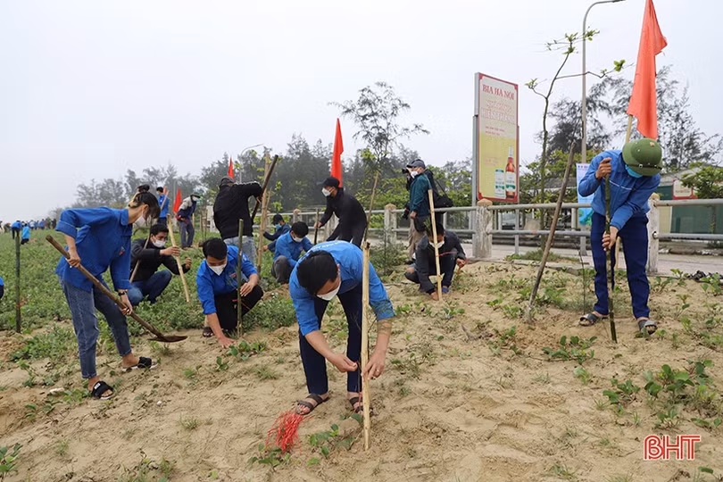 Hà Tĩnh hiện thực hóa đề án trồng 1 tỷ cây xanh của Chính phủ