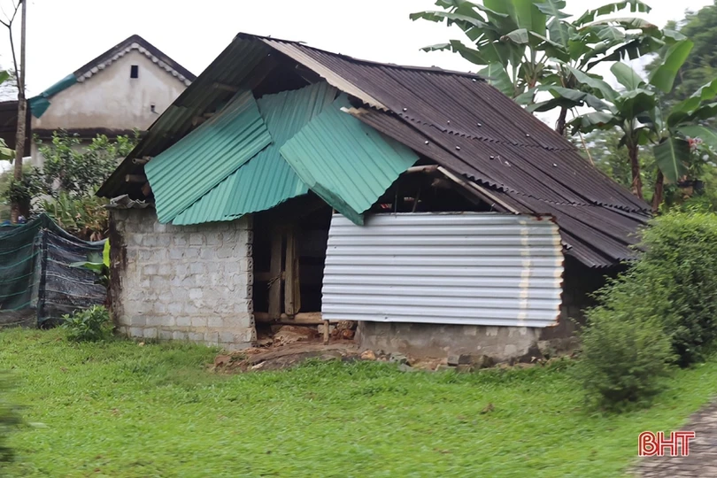 Chống rét cho đàn vật nuôi ở huyện miền núi Vũ Quang