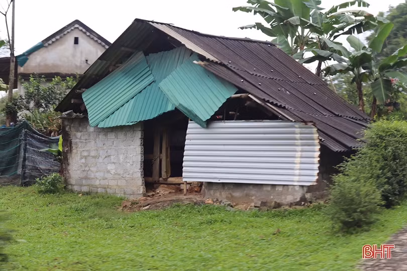 Chống rét cho đàn vật nuôi ở huyện miền núi Vũ Quang