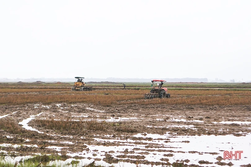 Tháng 12 rộn ràng về đích...