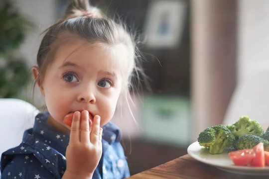 Thay đổi tông màu của bát đĩa có thể cải thiện tình trạng kén ăn của trẻ