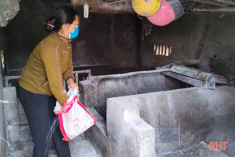 Tiêm phòng gia súc, gia cầm tại Hà Tĩnh: Tỷ lệ đạt thấp, vì sao?