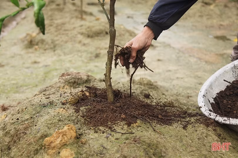 Các chợ ở Hà Tĩnh “biến” rác thải thành phân vi sinh