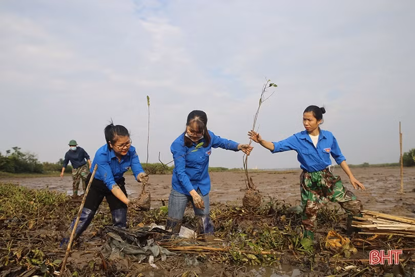Hà Tĩnh hiện thực hóa đề án trồng 1 tỷ cây xanh của Chính phủ