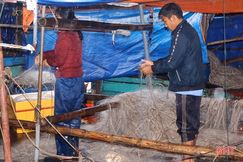 Vượt mưa rét vươn khơi, ngư dân Hà Tĩnh kiếm nhiều “lộc biển”