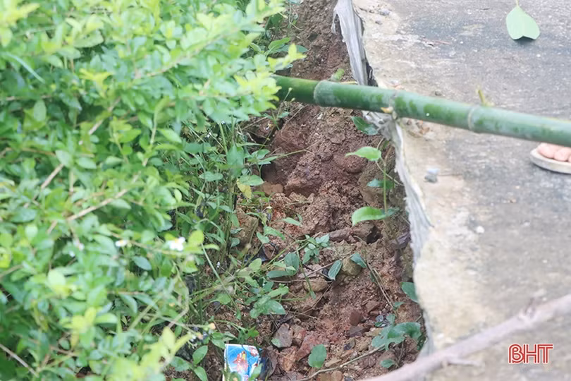 Sạt lở bờ sông Ngàn Mọ “uy hiếp” đường dân sinh ở Cẩm Xuyên