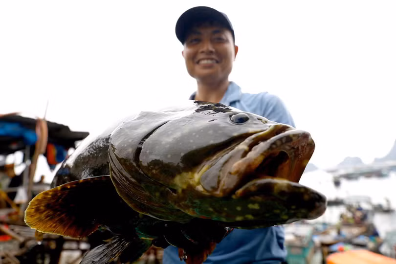 Dự án “Phát triển báo chí Việt Nam” tổ chức khóa tập huấn “Xuất bản hình ảnh trên nền tảng số”