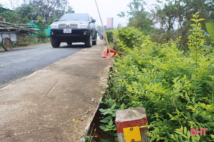 Sạt lở bờ sông Ngàn Mọ “uy hiếp” đường dân sinh ở Cẩm Xuyên