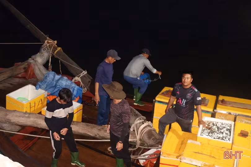 Vượt mưa rét vươn khơi, ngư dân Hà Tĩnh kiếm nhiều “lộc biển”