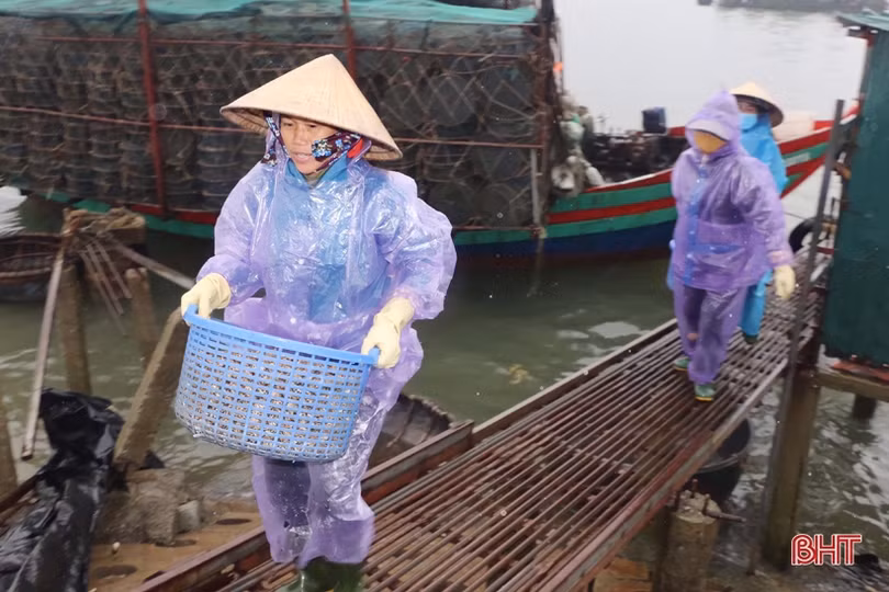 Vượt mưa rét vươn khơi, ngư dân Hà Tĩnh kiếm nhiều “lộc biển”