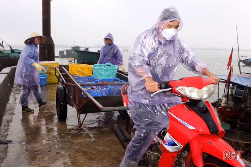 Vượt mưa rét vươn khơi, ngư dân Hà Tĩnh kiếm nhiều “lộc biển”