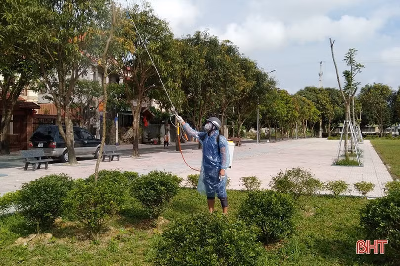 Hà Tĩnh hiện thực hóa đề án trồng 1 tỷ cây xanh của Chính phủ