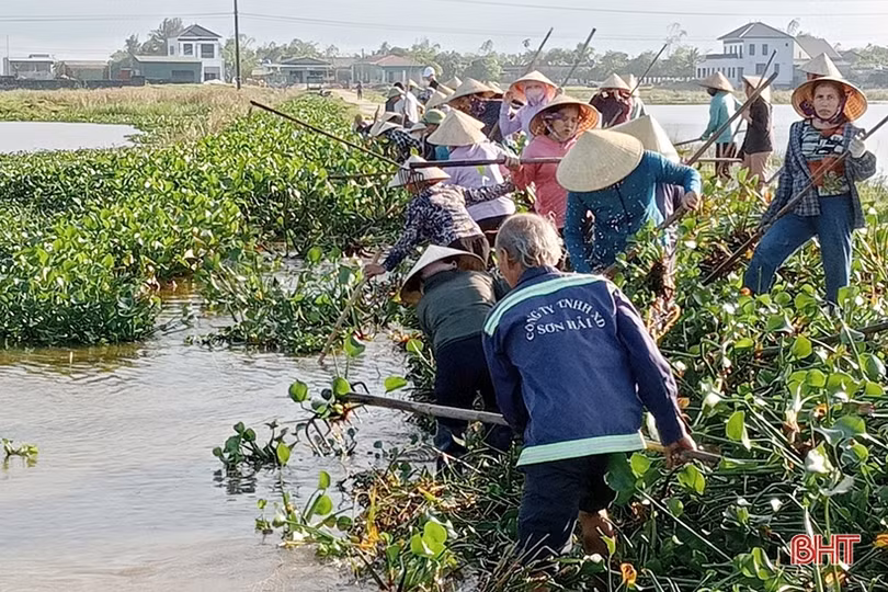 Lộc Hà hướng tới mục tiêu hơn 20 nghìn tấn lương thực, lạc vụ xuân
