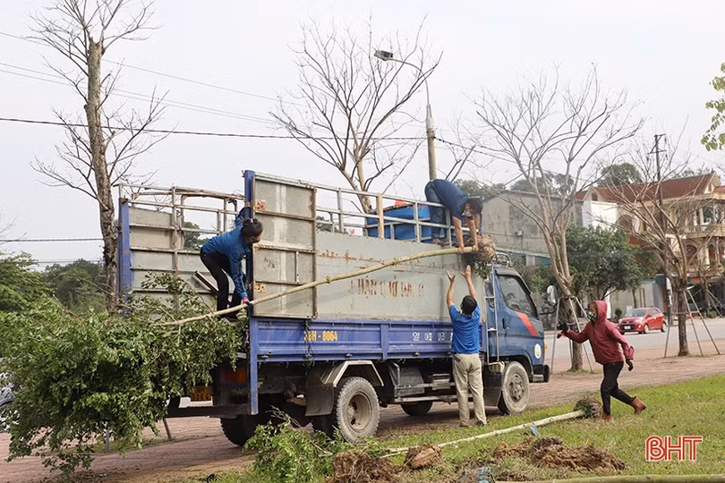 Hà Tĩnh hiện thực hóa đề án trồng 1 tỷ cây xanh của Chính phủ