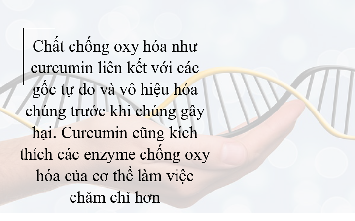 Tác dụng tuyệt vời của nghệ đối với cơ thể bạn