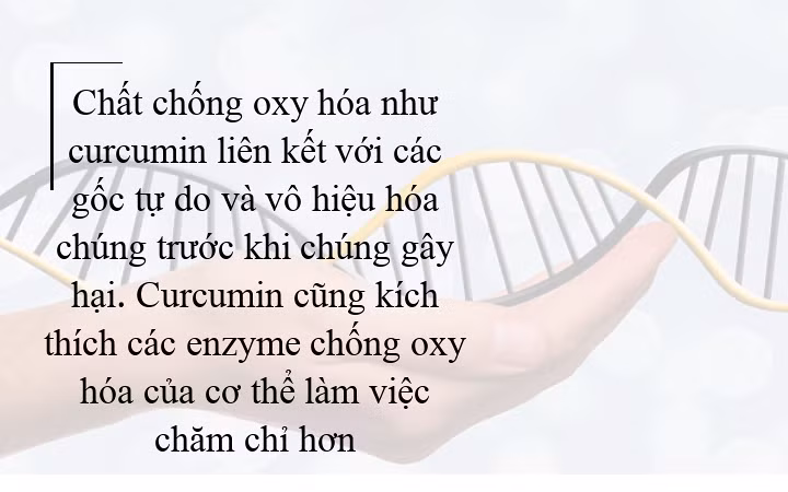 Tác dụng tuyệt vời của nghệ đối với cơ thể bạn