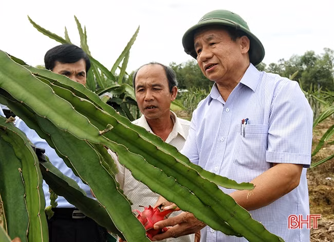 Bí thư Tỉnh ủy Lê Đình Sơn: Đảm bảo hiệu lực, hiệu quả thực hiện Quy định số 11-QĐi/TW, giải quyết thấu đáo những vấn đề người dân kiến nghị