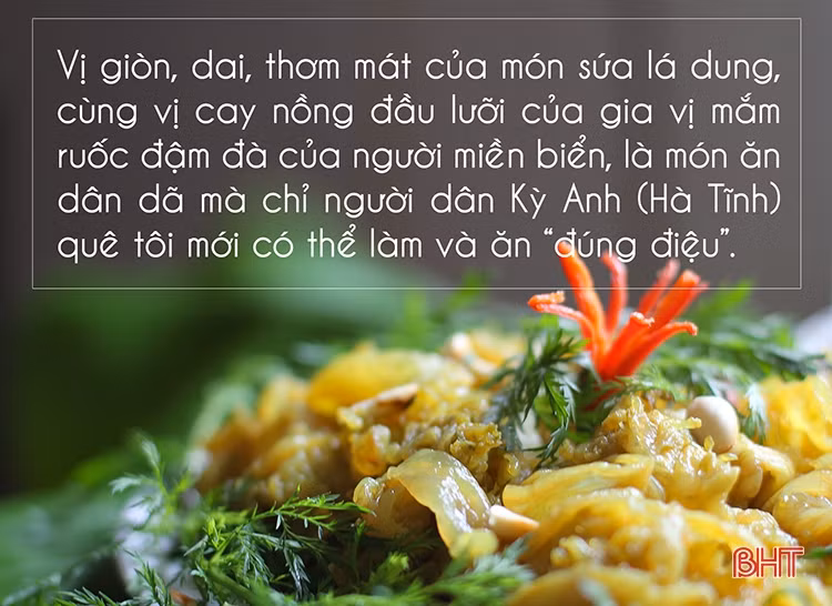Sứa lá dung - món ăn dân dã “đúng điệu” người Kỳ Anh