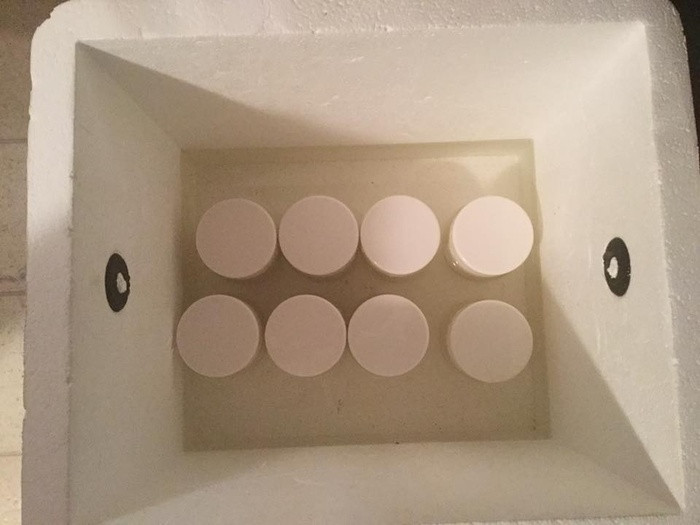 Làm sữa chua chỉ bằng 1 chiếc thùng xốp, đơn giản mà cực nhanh