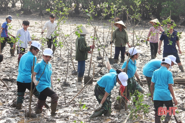 Hàng trăm học sinh TP Hà Tĩnh trồng cây vì màu xanh rừng ngập mặn