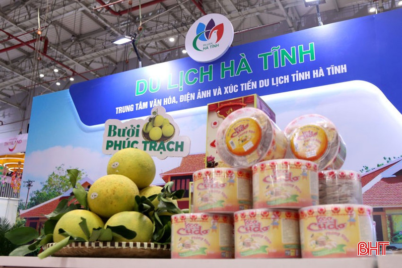 ស្តង់នេះឧទ្ទេសនាមដល់មិត្តក្នុងស្រុក និងអន្តរជាតិអំពីផលិតផលទេសចរណ៍ក្នុងស្រុកធម្មតា ដំណើរទេសចរណ៍ធម្មតា ផលិតផល OCOP និងការបោះពុម្ពផ្សាយផ្សព្វផ្សាយ និងរូបភាពទេសចរណ៍ Ha Tinh។ នៅក្នុងរូបថត៖ ផ្លែក្រូចថ្លុង Phuc Trach និង Phong Nga Cu Do ពិសេសត្រូវបានដាក់តាំងបង្ហាញនៅឯពិព័រណ៍ ... bqbht_br_dac-san-buoi-phuc-trach-va-cu-do-phong-nga-duoc-trung-bay-tai-hoi-cho.jpg