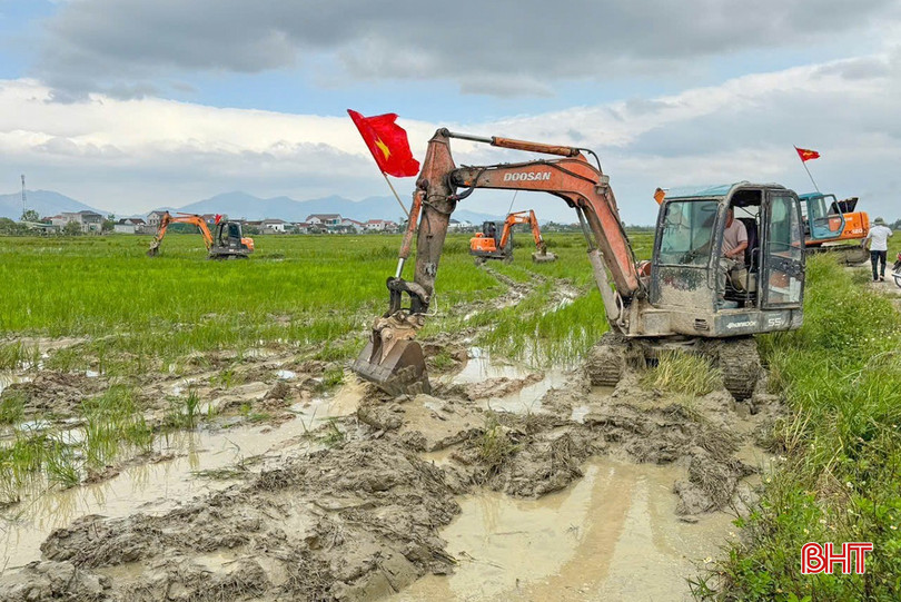 יו bqbht_br_image-6126.jpg