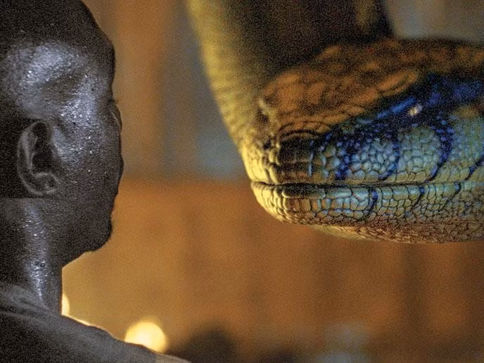 Carnh trong phim "Anacondas: The Hunt for the Blood Orchid"