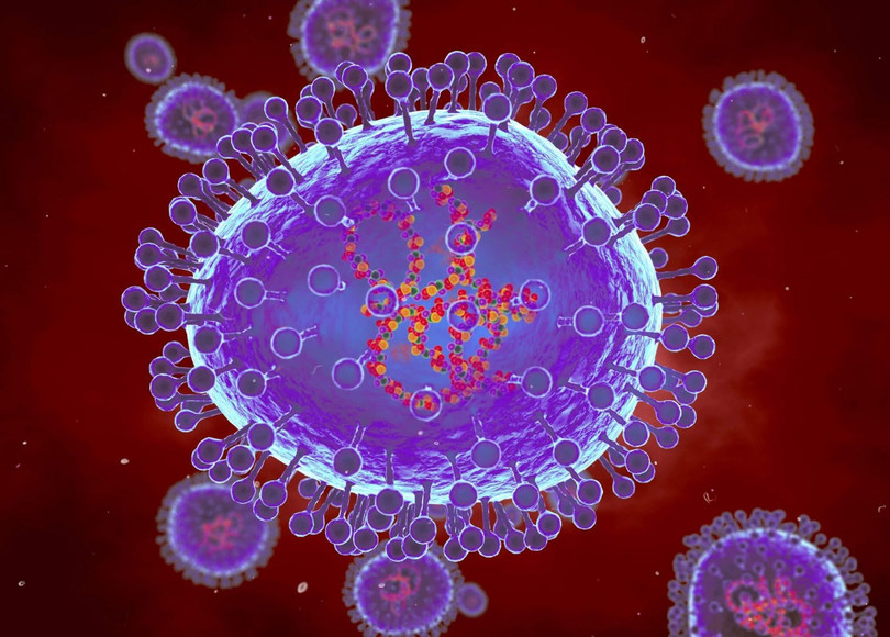 Minh họa máy tính về các hạt của metapneumovirus ở người (HMPV). Ảnh: clinicaladvisor.com Minh họa máy tính về các hạt của metapneumovirus ở người (HMPV). Ảnh: clinicaladvisor.com