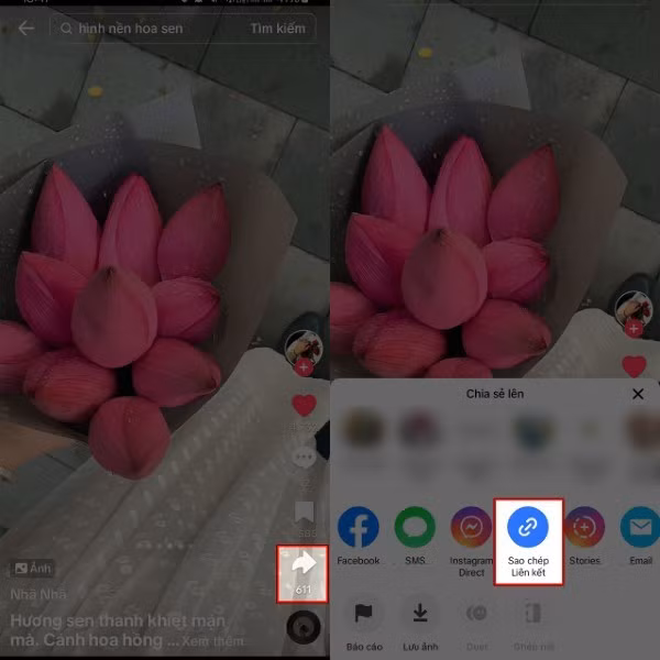 Nhấn vào biểu tượng “Chia sẻ” (Share) và chọn “Sao chép liên kết” (Copy Link)