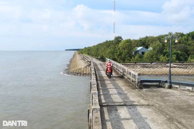 dat-mui-ca-mauhuynh-hai-17421247.jpg