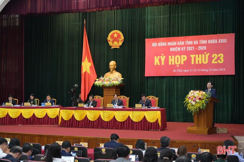 Đại biểu Đặng Văn Thành - Giám đốc Sở Công thương phát biểu thảo luận. bqbht_br_thanh-9897.jpg