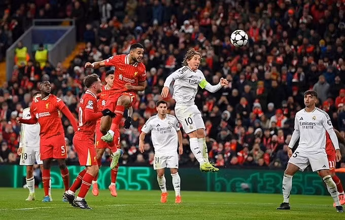 Gakpo đánh đầu kết liễu Real Madrid.