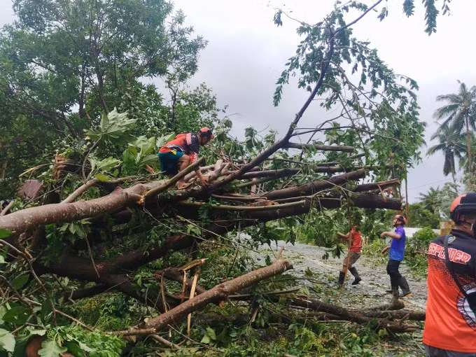 Công nhân dọn dẹp đoạn đường bị cây đổ vì bão Bualoi ở Palanas, tỉnh Masbate, Philippines, ngày 26/9. Ảnh: AFP